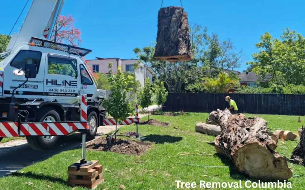 Hazardous tree removal in Columbia SC by certified arborists using safe techniques