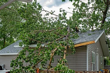 Emergency tree removal in Columbia SC after a storm, showing a fallen tree resting on a residential building.