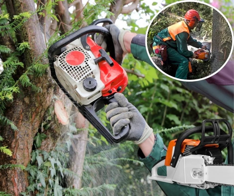 lename: crane-hazardous-tree-removal-columbia-sc-downtown.jpg Alt Text: Crane-assisted hazardous tree removal in Columbia SC Downtown