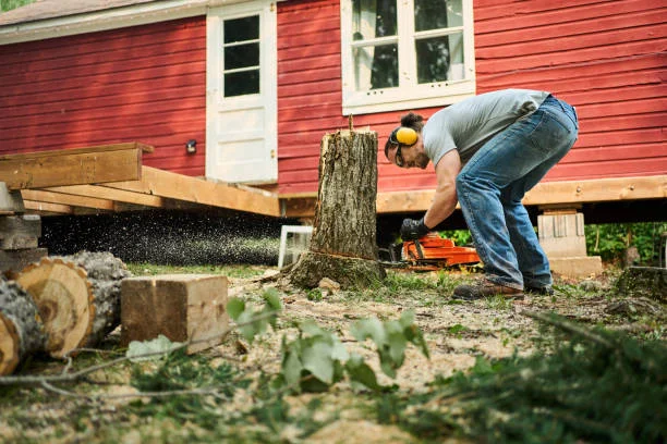 Man cutting a tree stump during professional stump removal in Columbia SC