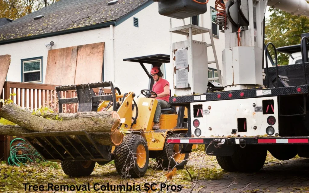 A cut tree section being carefully lifted and loaded by a crane during a professional tree removal job in Columbia SC