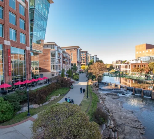 tree removal Lexington SC local arborist services