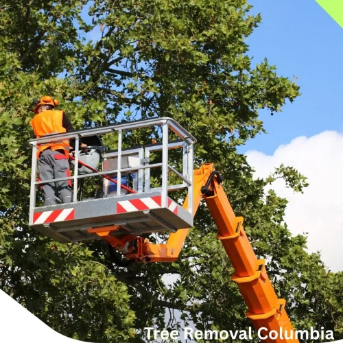 Elite crane-assisted tree removal in Columbia SC by dependable arborists for hazardous and oversized trees