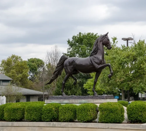 tree service coverage map Columbia SC Lexington Irmo Cayce